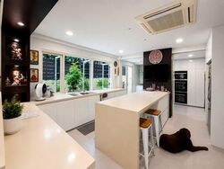 Serangoon Garden Estate (D19), Semi-Detached #593616611